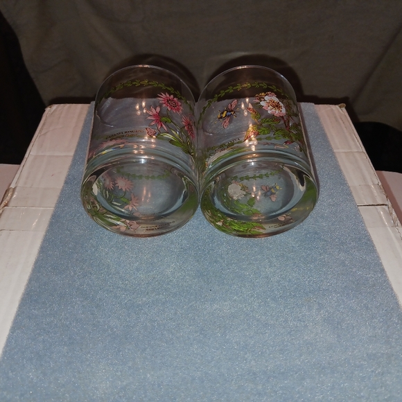 Portmeirion Old Fashion Glasses, "Botanic Garden (2) - Picture 5 of 6